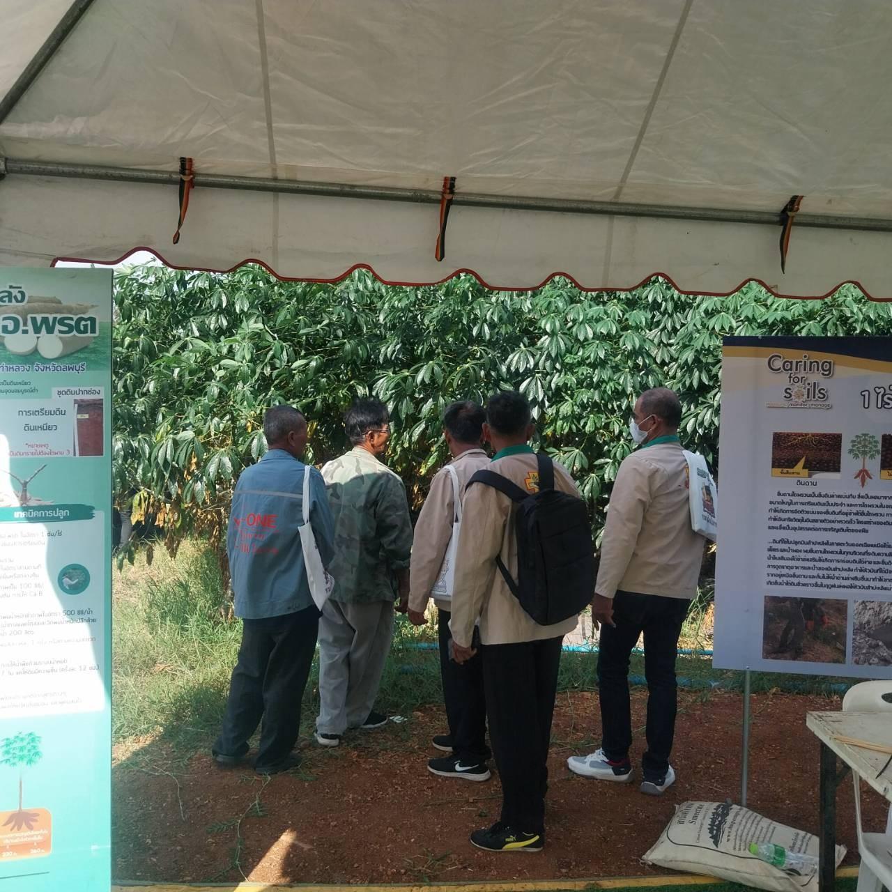 ภาพประกอบที่ 28