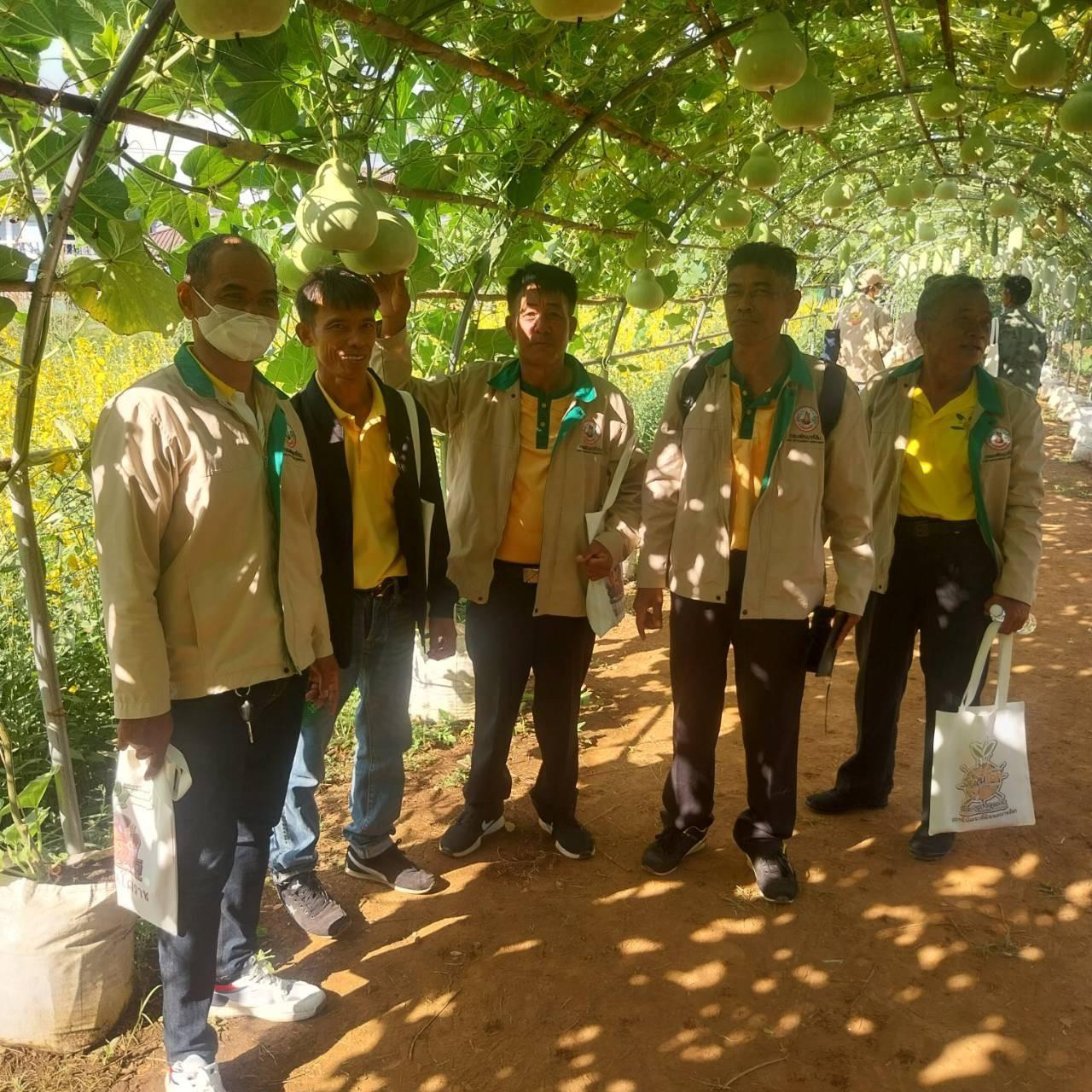 ภาพประกอบที่ 29