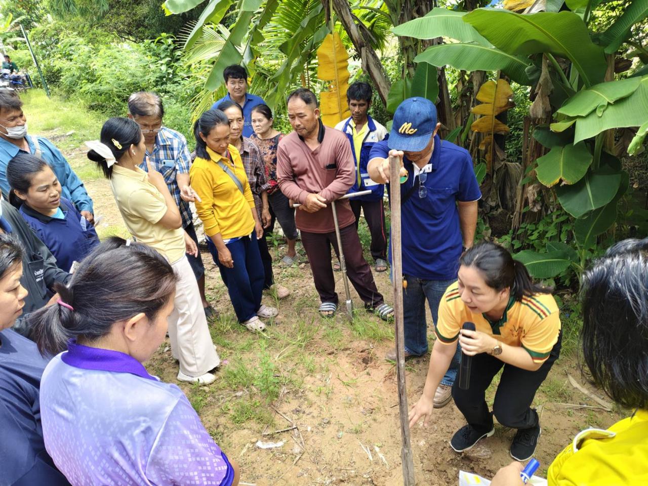 ภาพประกอบที่ 6