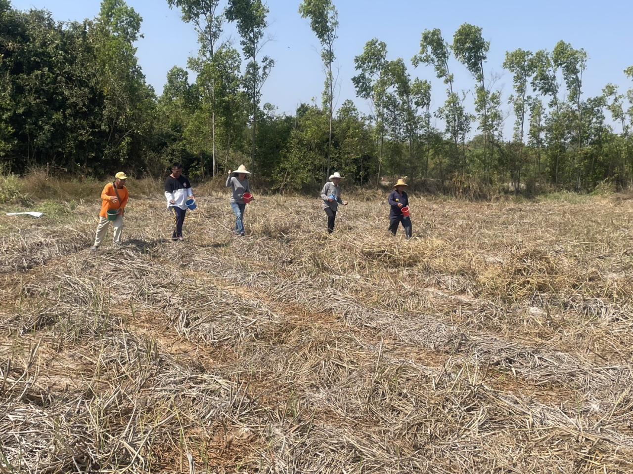 ภาพประกอบที่ 4