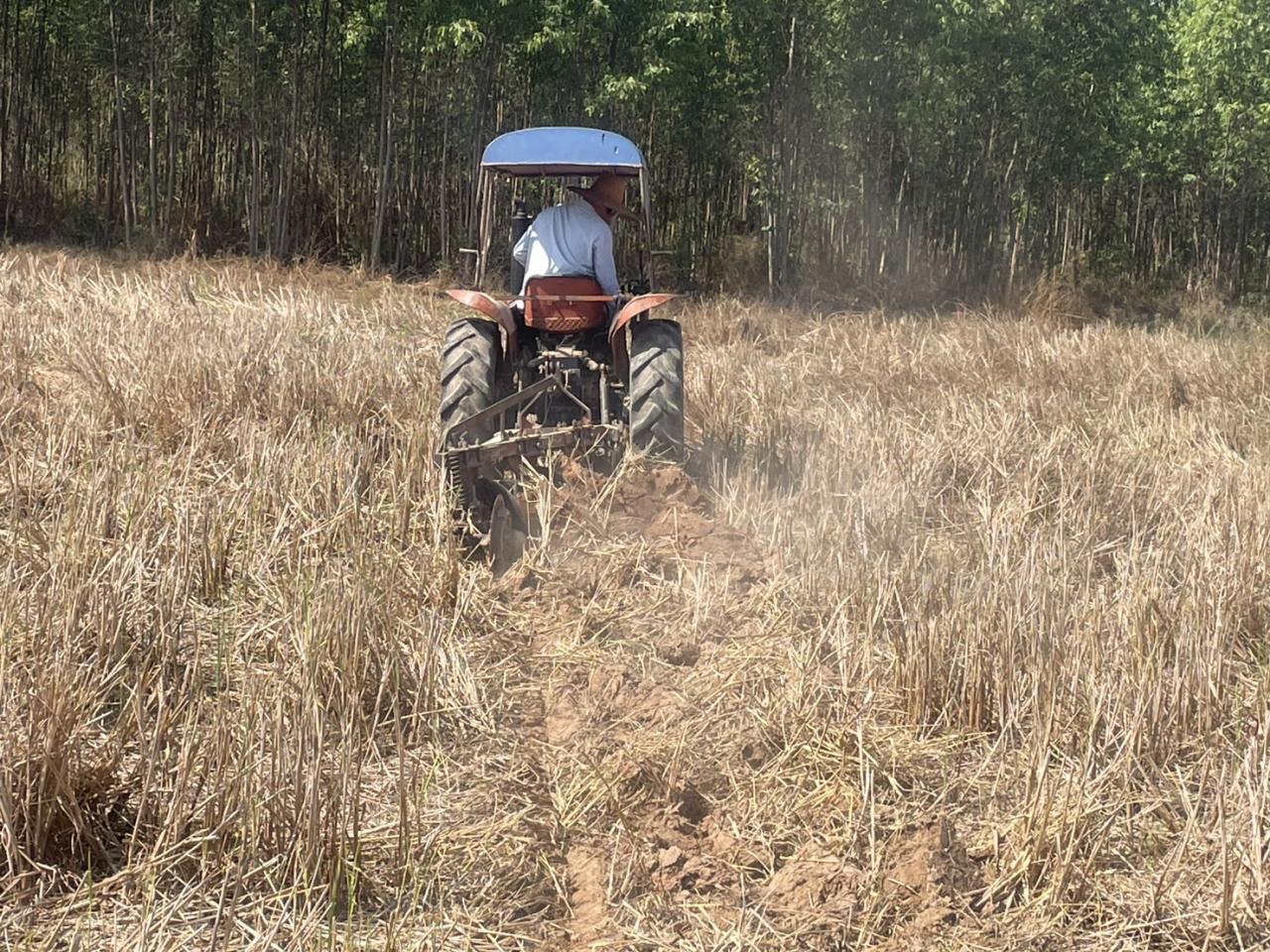 ภาพประกอบที่ 8