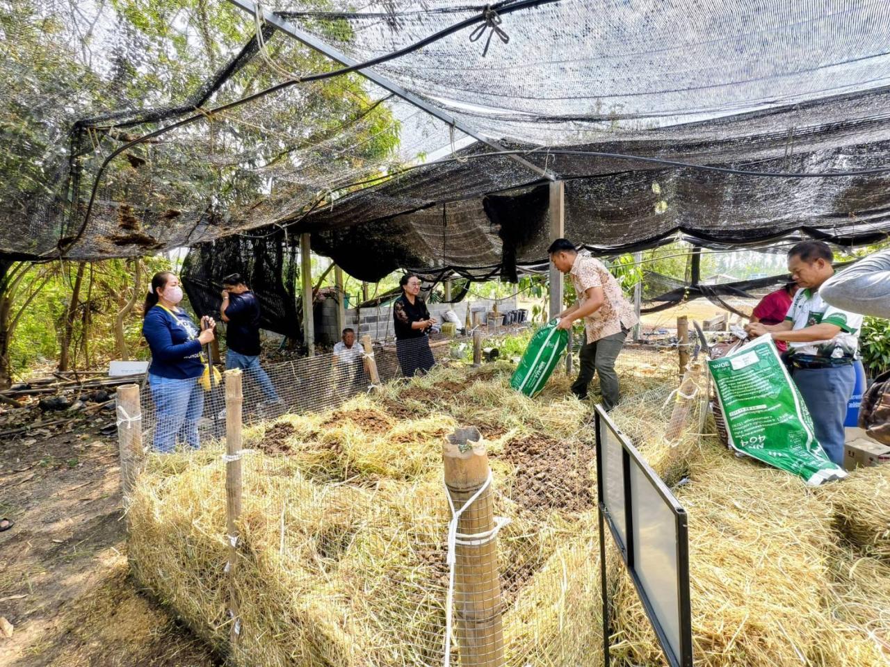 ภาพประกอบที่ 3