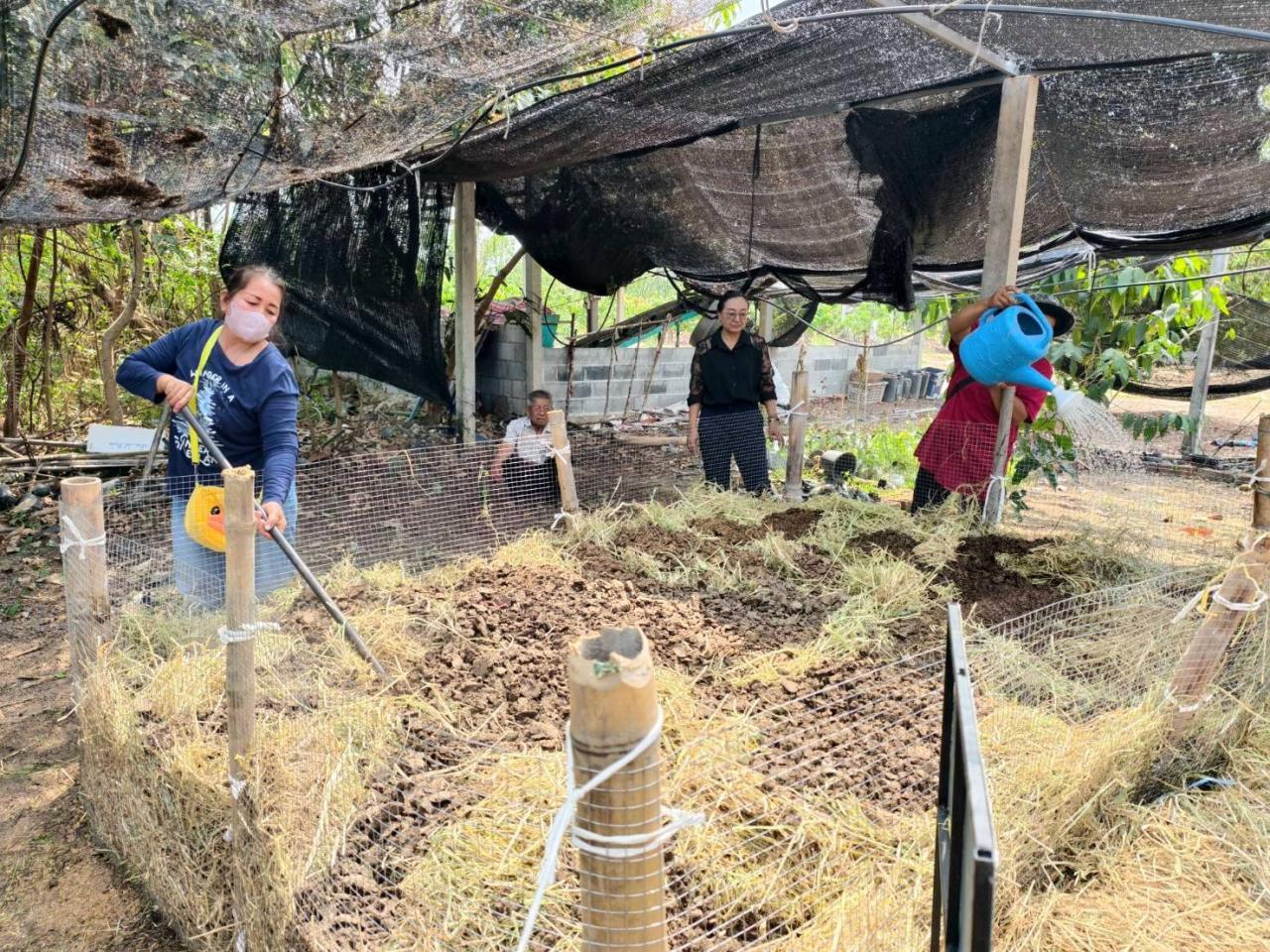 ภาพประกอบที่ 6