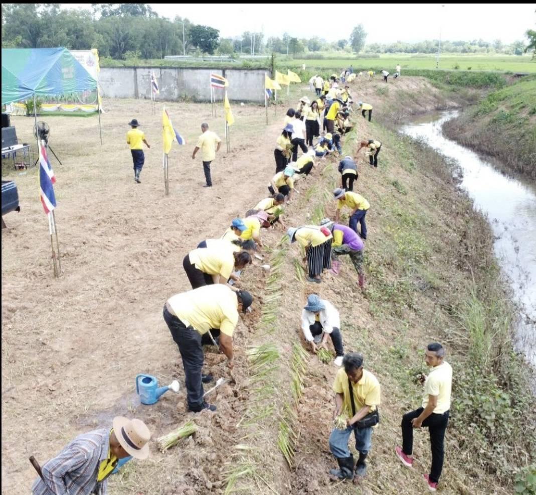 ภาพประกอบที่ 2