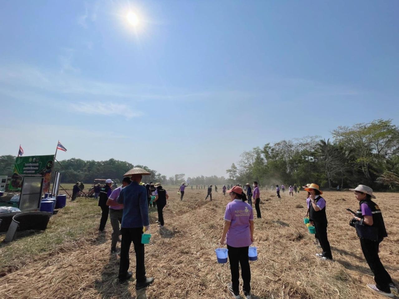 ภาพประกอบที่ 12