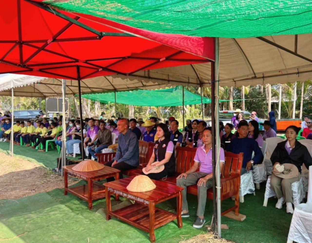 ภาพประกอบที่ 17