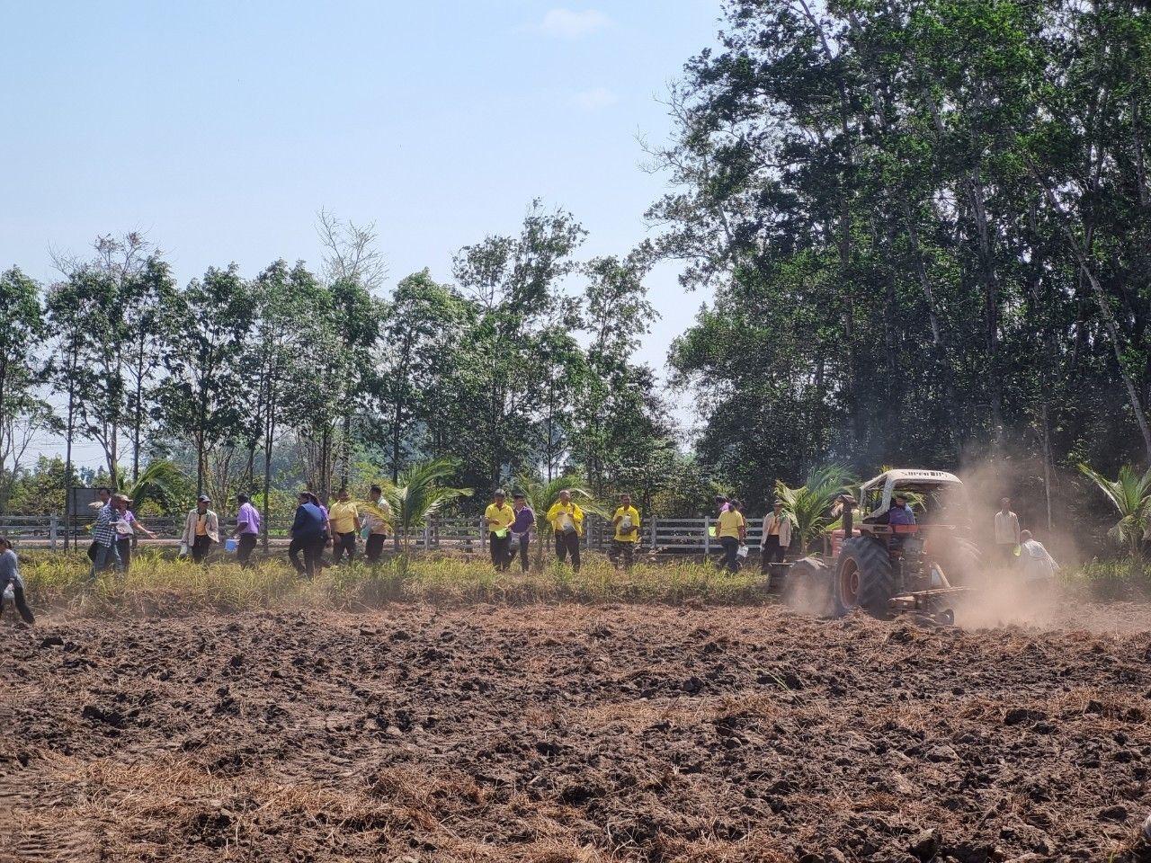 ภาพประกอบที่ 20