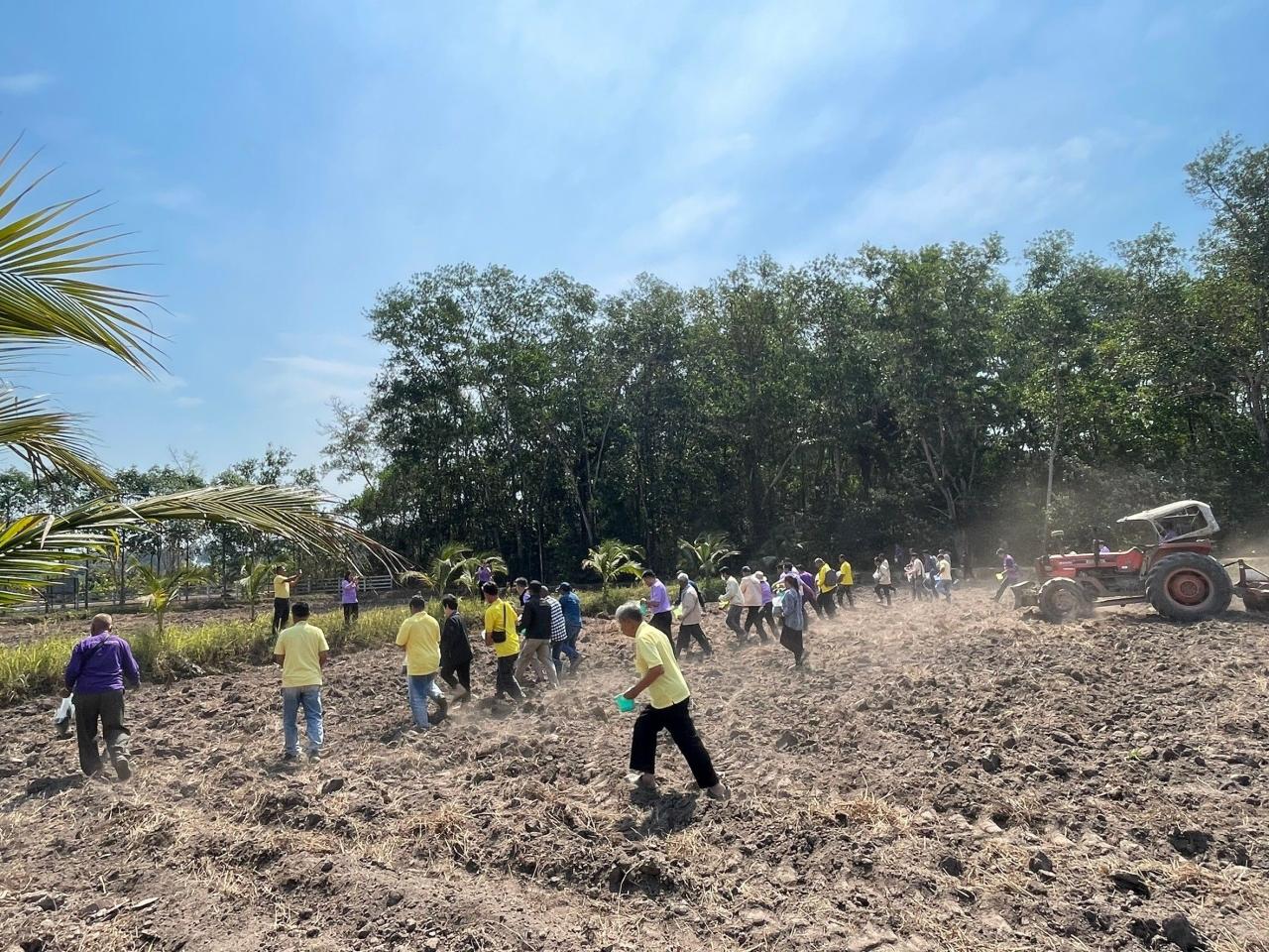 ภาพประกอบที่ 31