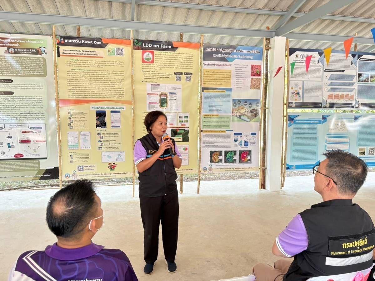 ภาพประกอบที่ 33