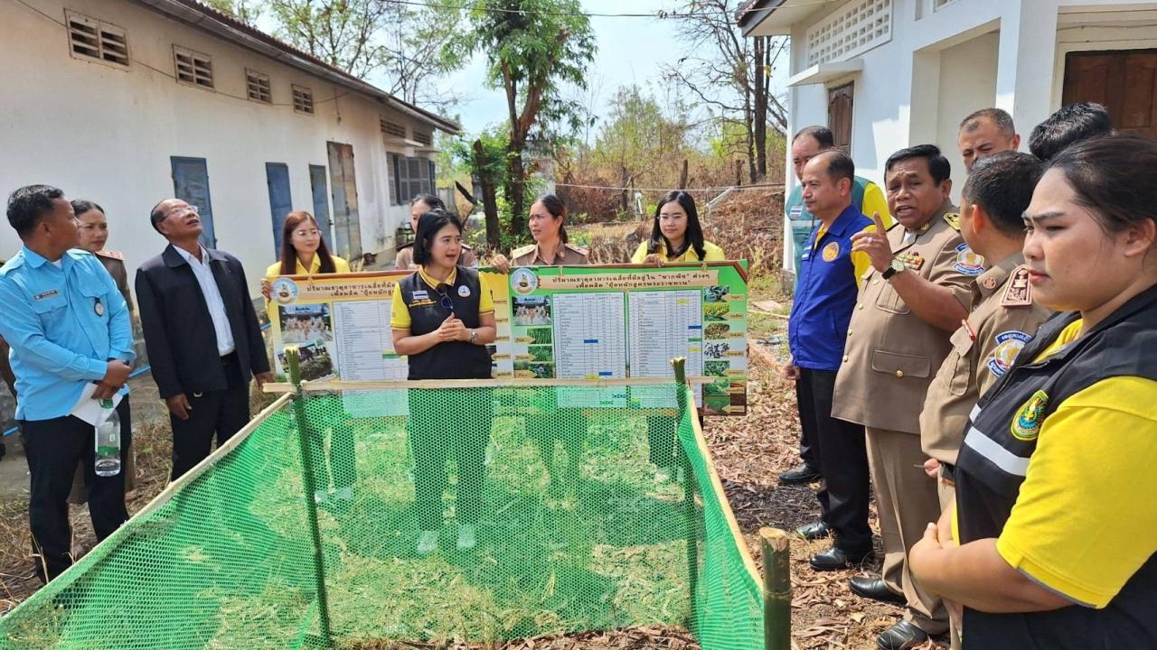 ภาพประกอบที่ 11