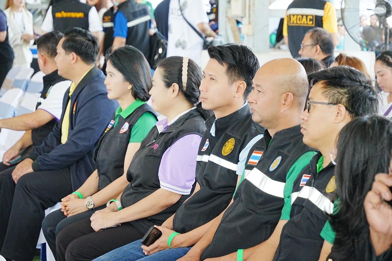 ภาพประกอบที่ 5