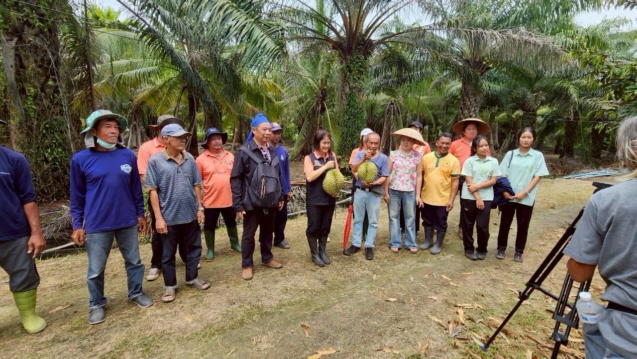 ภาพประกอบที่ 0