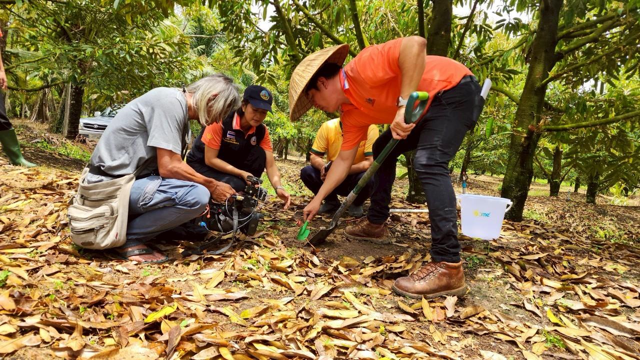 ภาพประกอบที่ 8