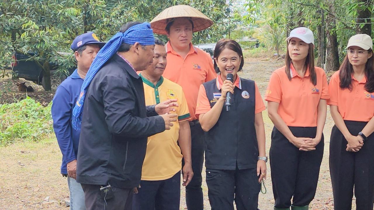 ภาพประกอบที่ 11