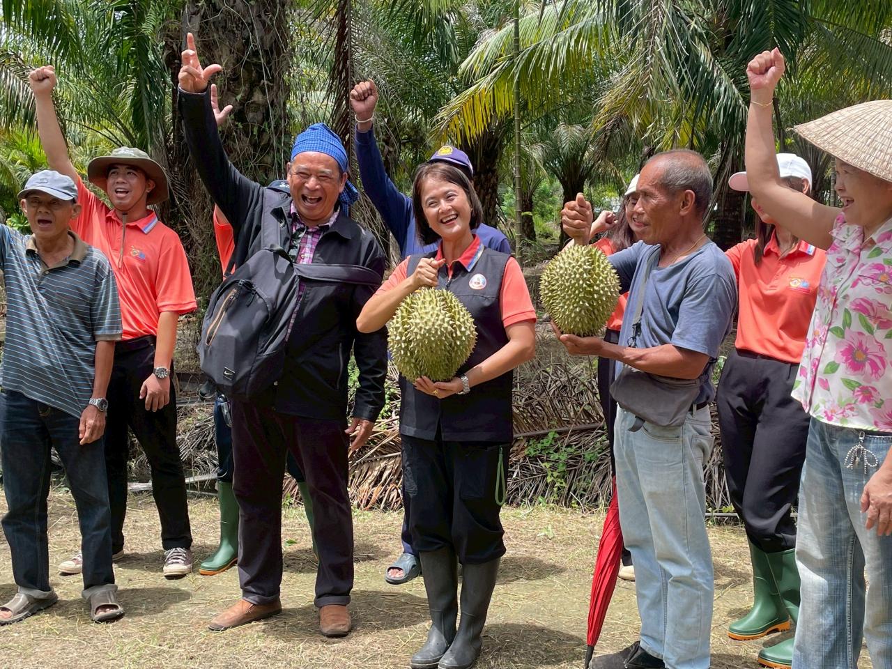 ภาพประกอบที่ 12