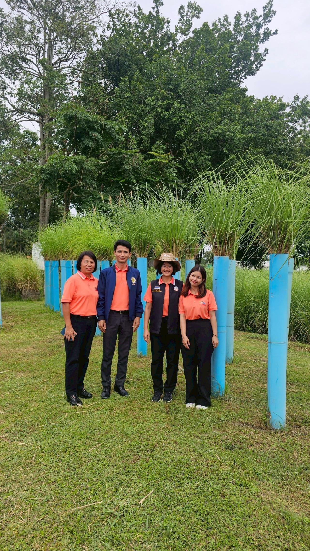 ภาพประกอบที่ 10