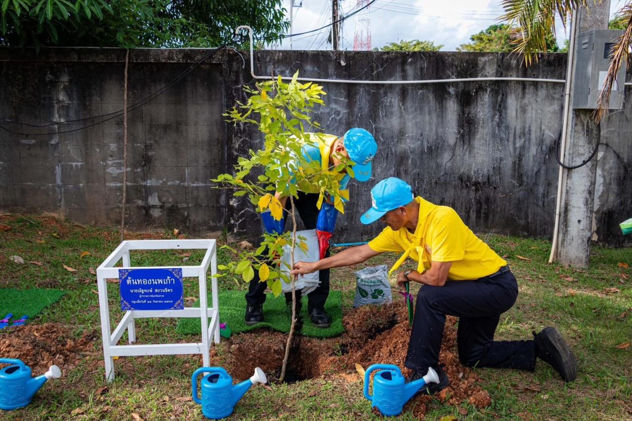 ภาพประกอบที่ 1