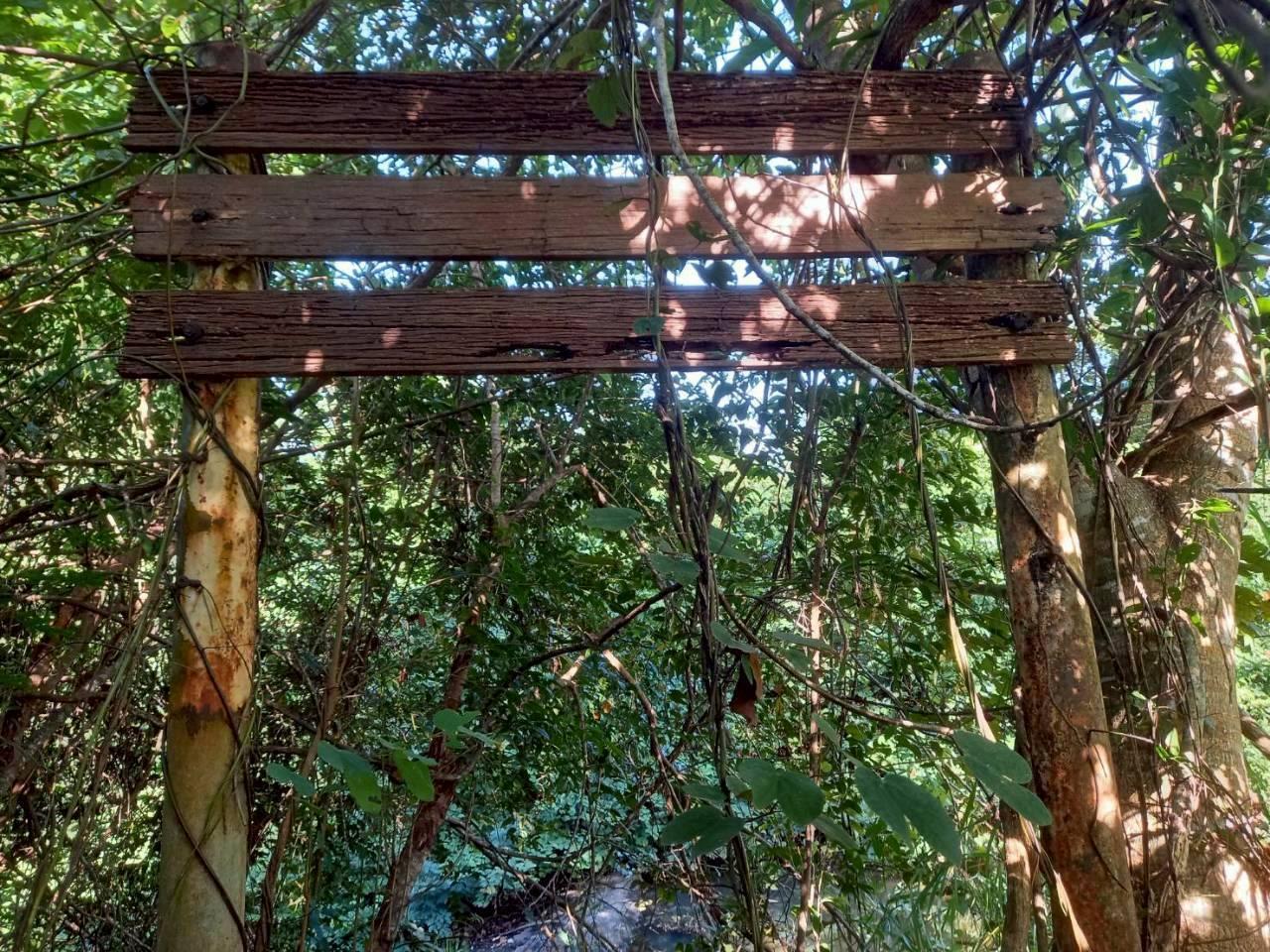 ภาพประกอบที่ 6