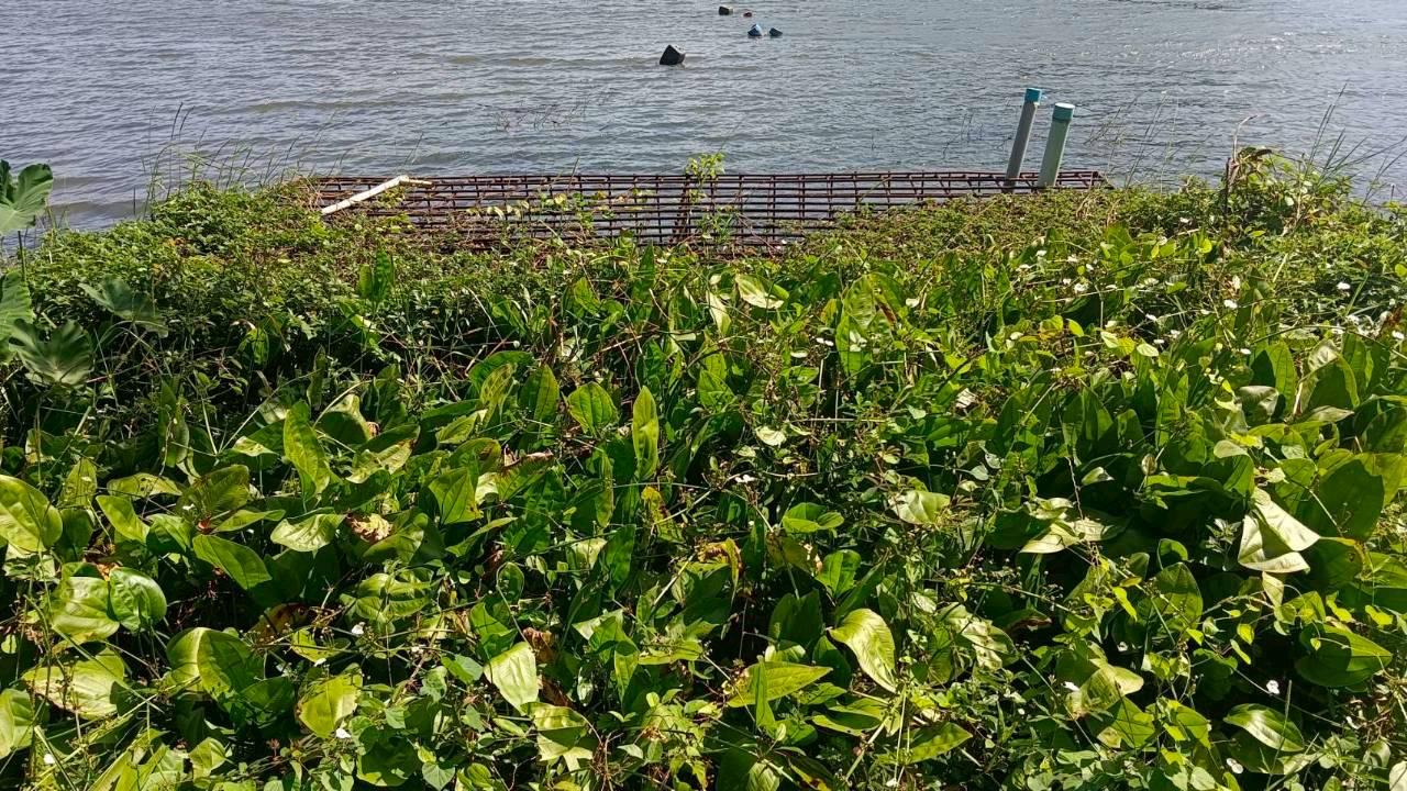 ภาพประกอบที่ 5