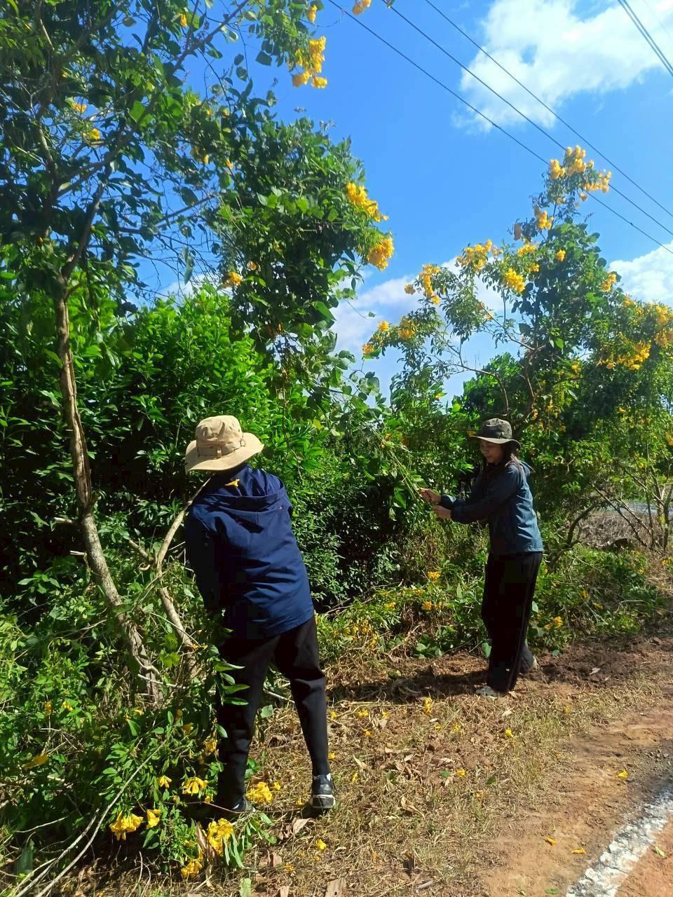 ภาพประกอบที่ 0
