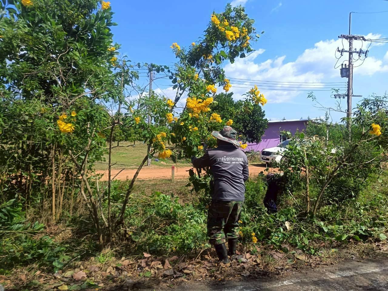 ภาพประกอบที่ 1