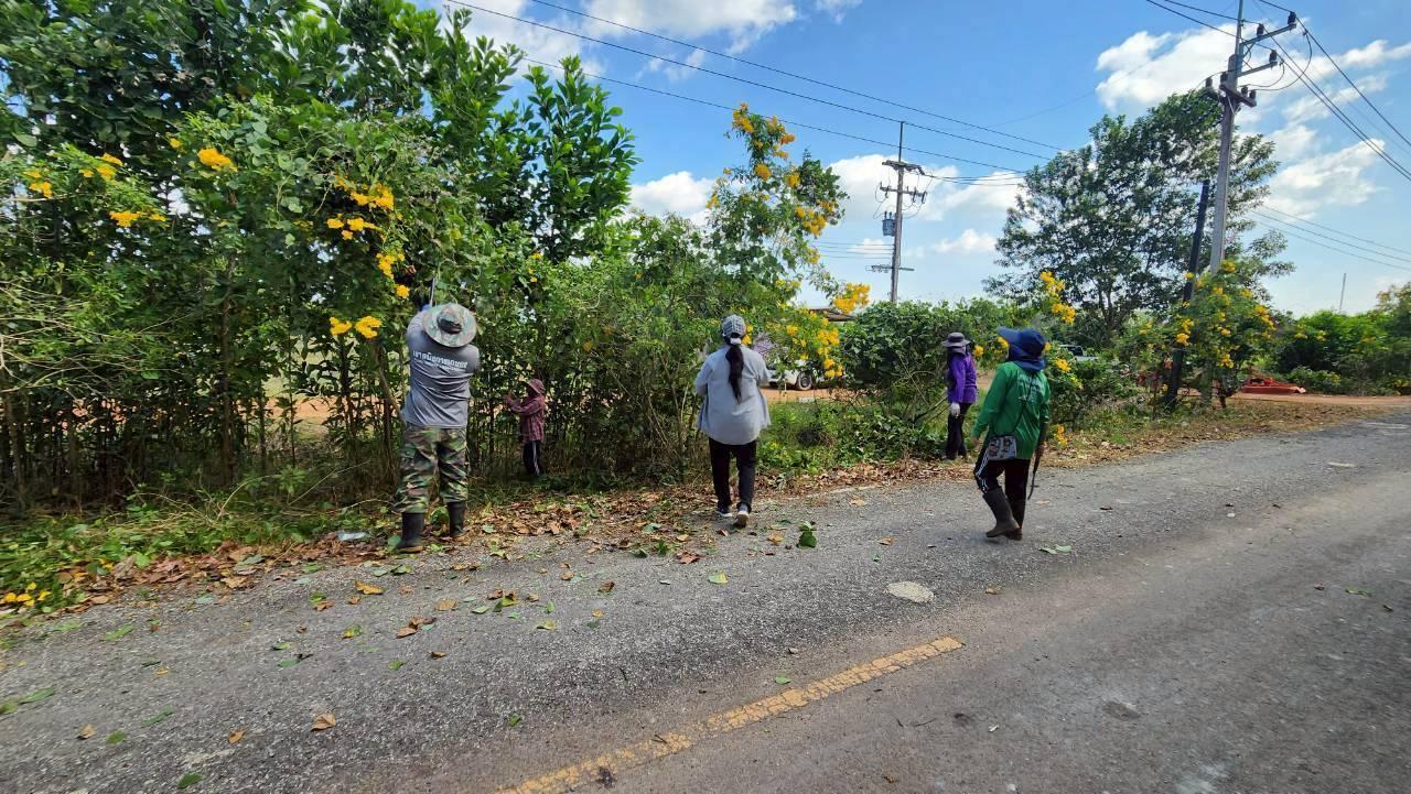 ภาพประกอบที่ 2