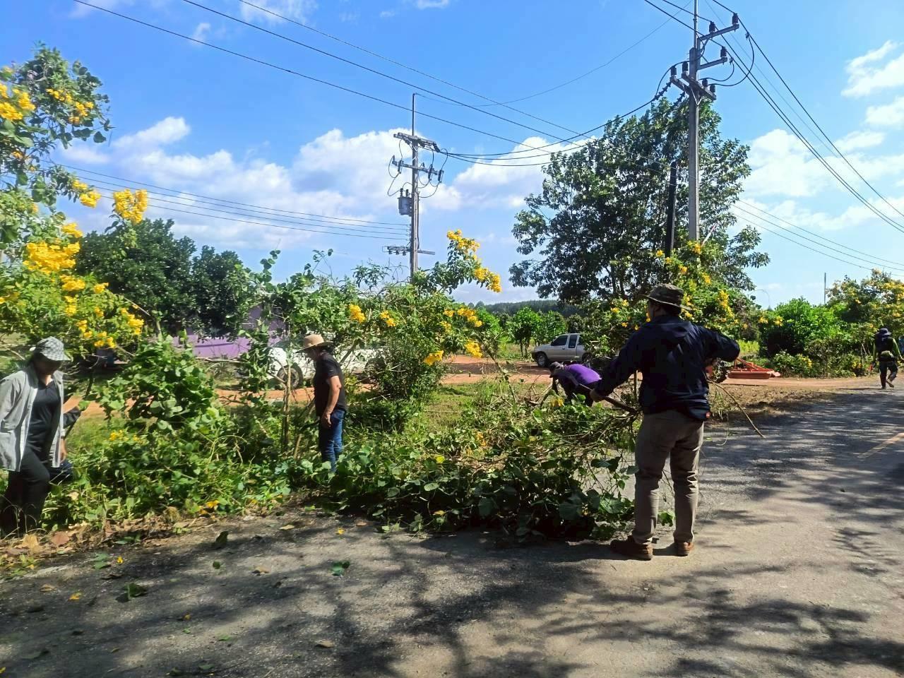 ภาพประกอบที่ 5
