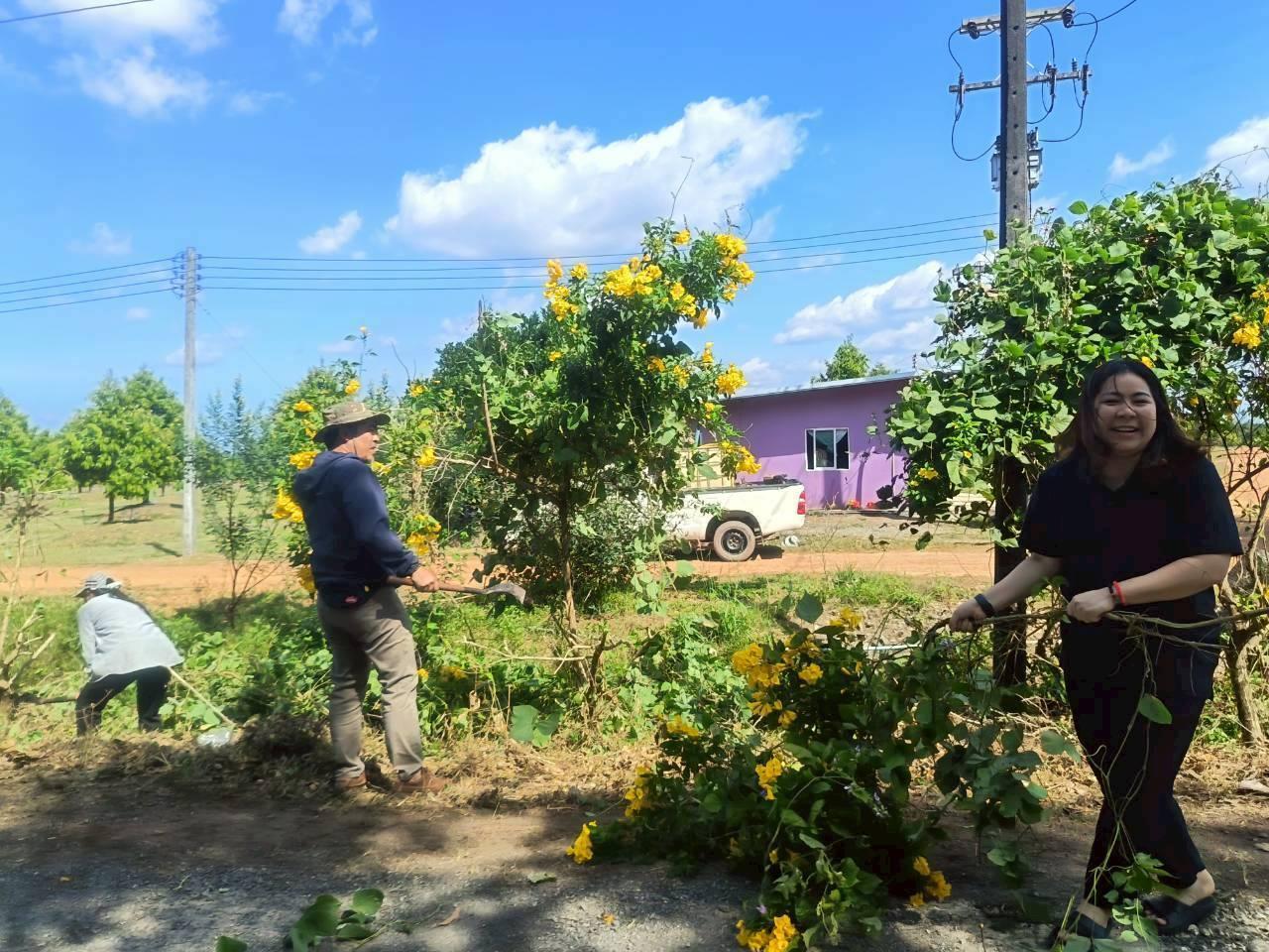 ภาพประกอบที่ 7