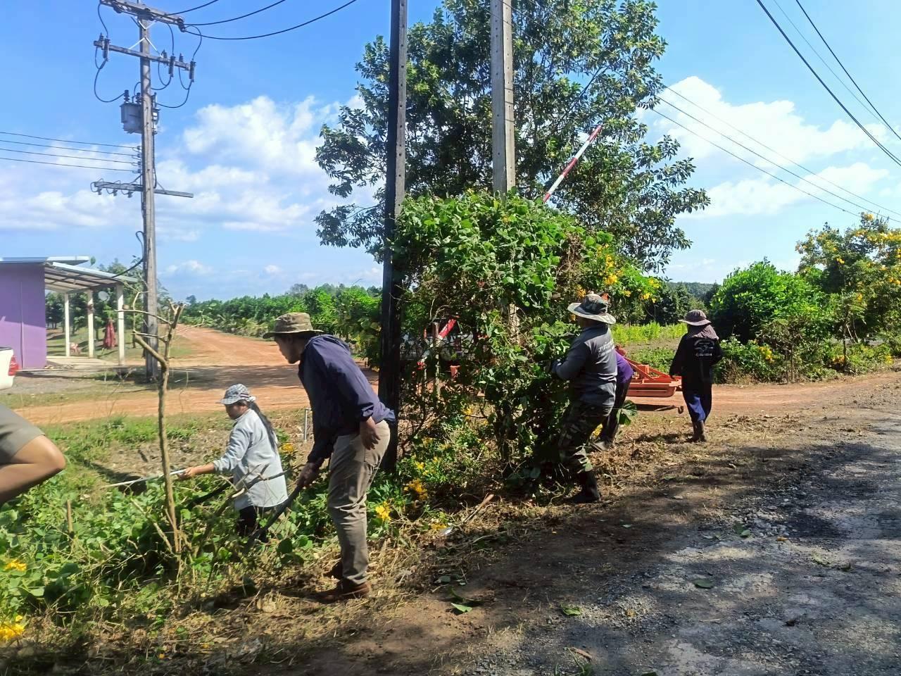 ภาพประกอบที่ 8