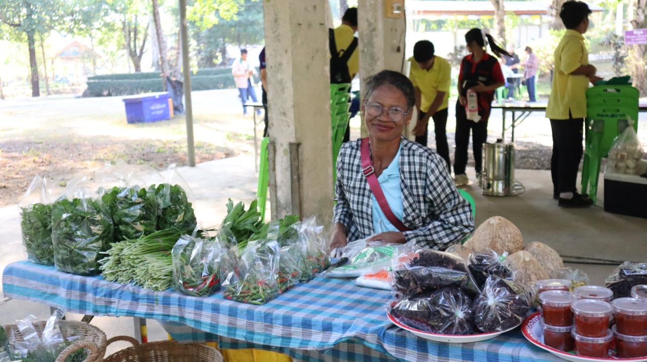 ภาพประกอบที่ 1