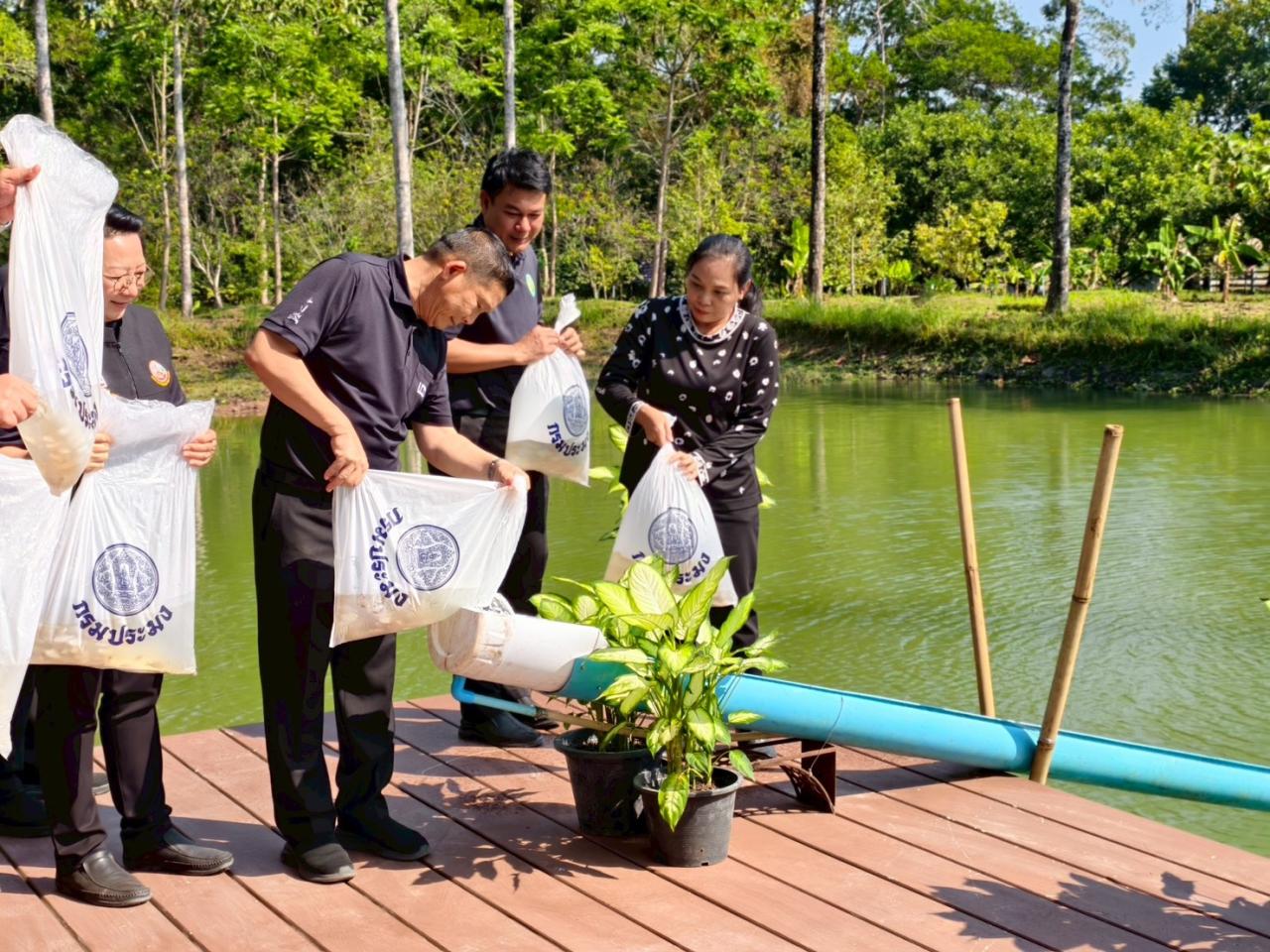 ภาพประกอบที่ 10