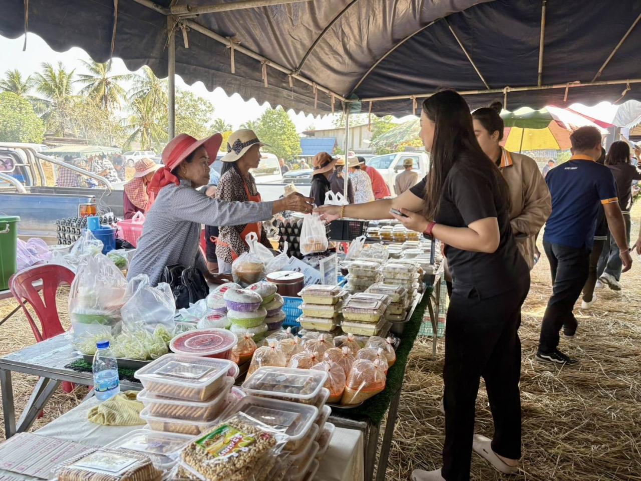 ภาพประกอบที่ 7