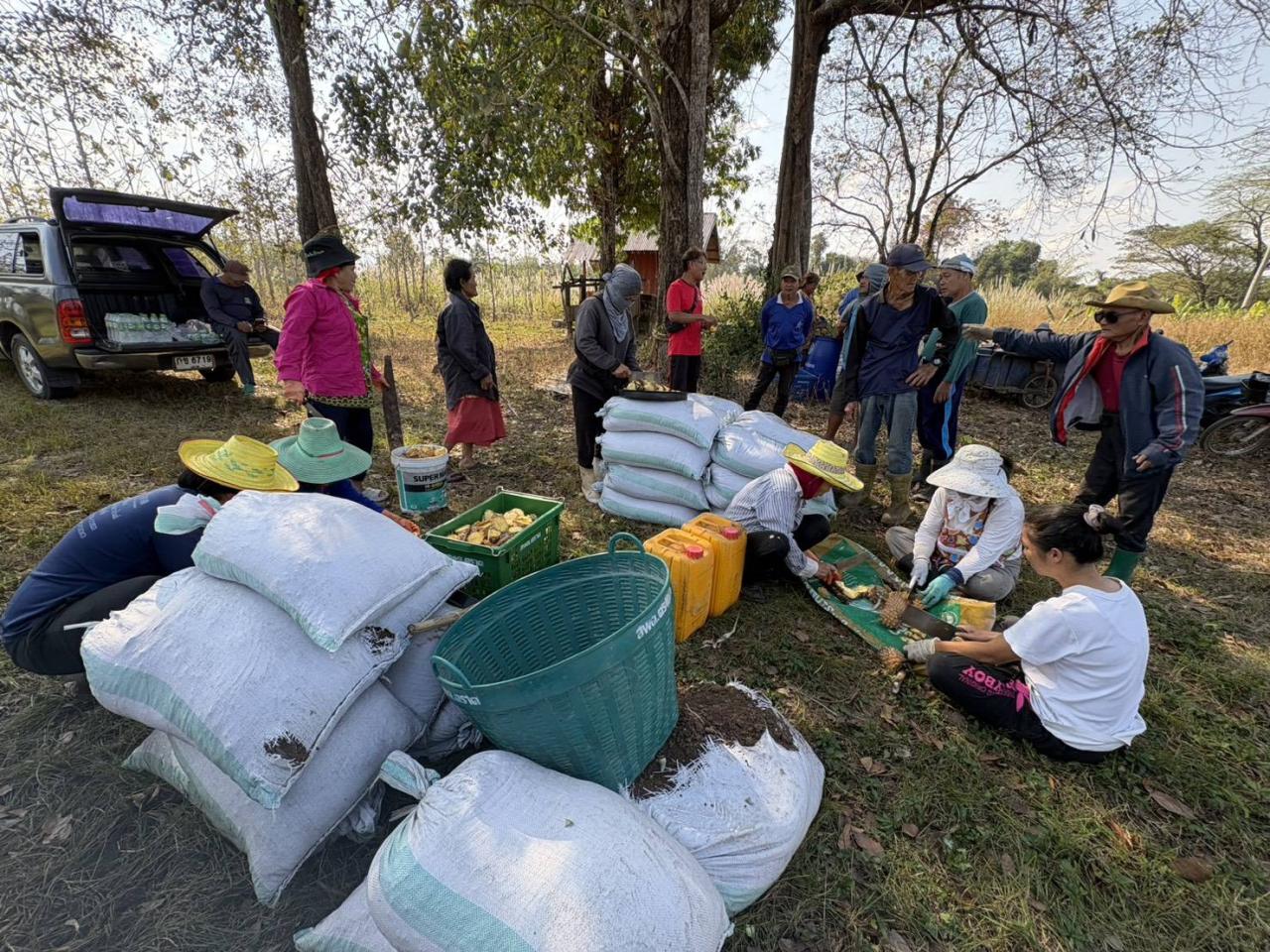 ภาพประกอบที่ 1