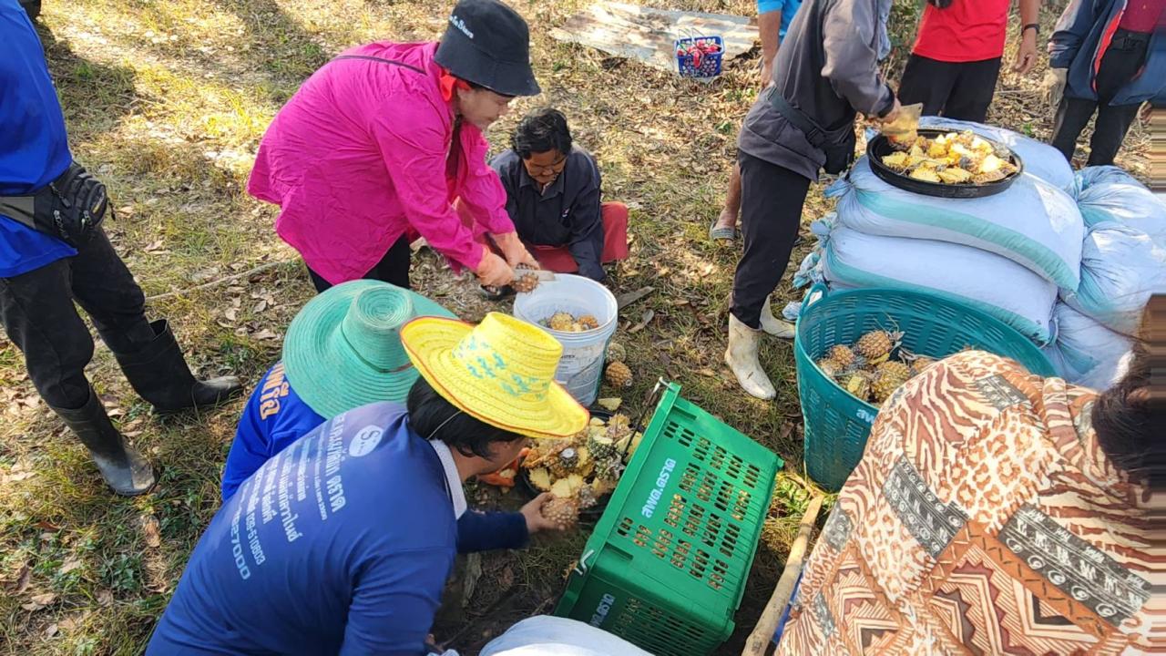 ภาพประกอบที่ 5