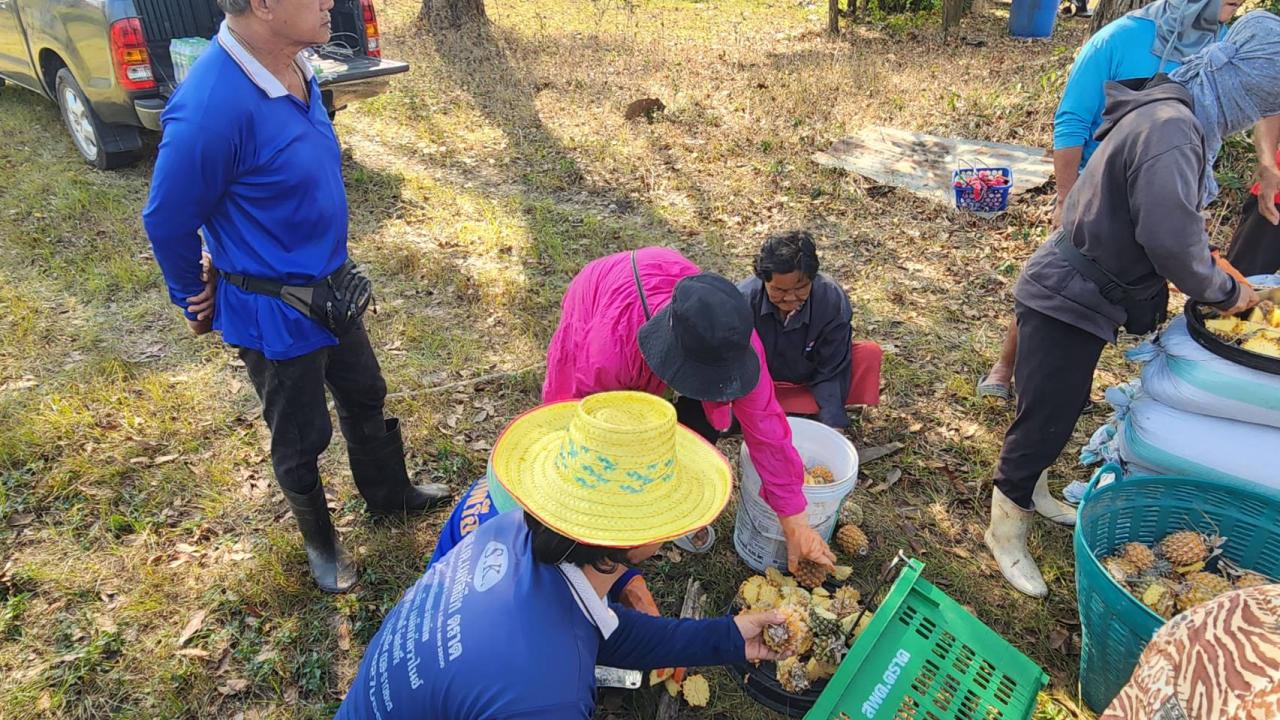 ภาพประกอบที่ 6