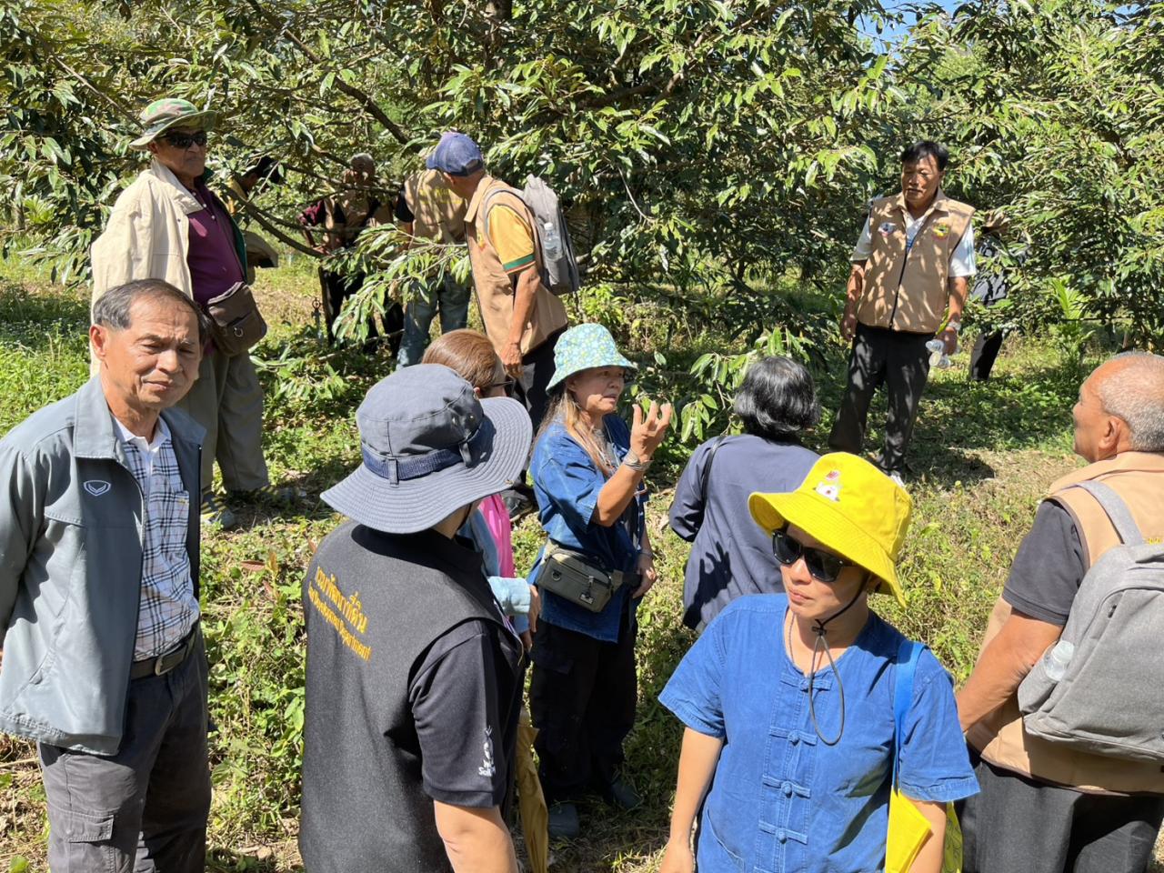 ภาพประกอบที่ 9