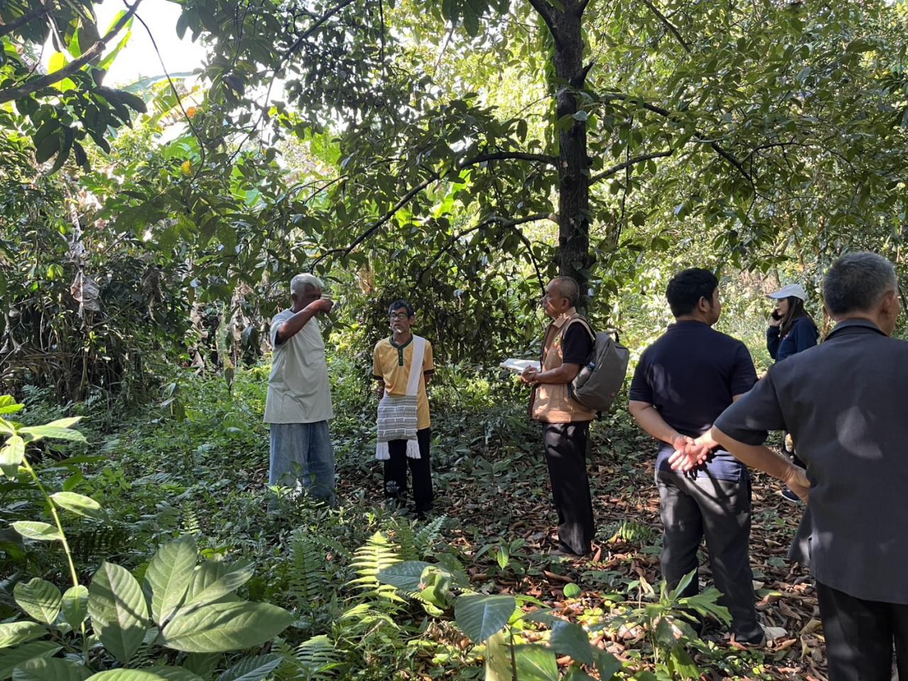 ภาพประกอบที่ 18