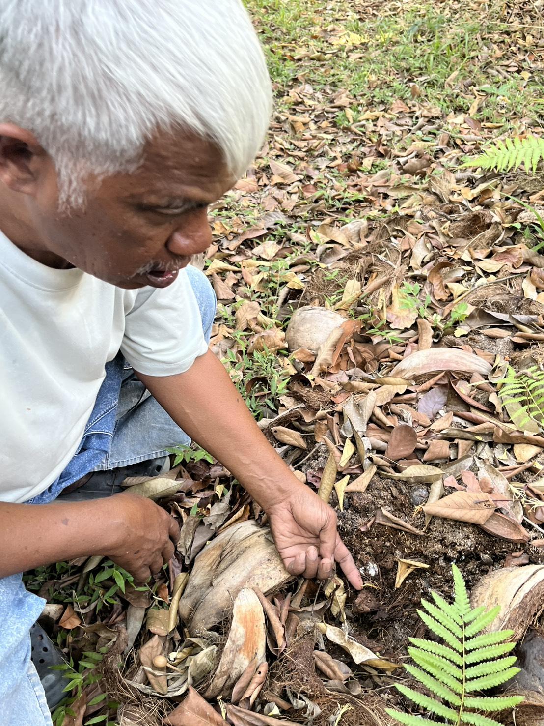 ภาพประกอบที่ 19
