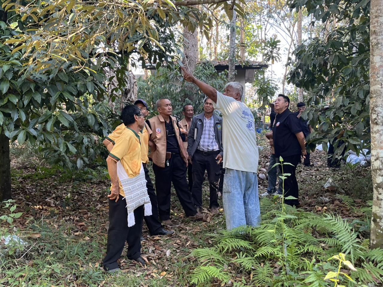 ภาพประกอบที่ 24