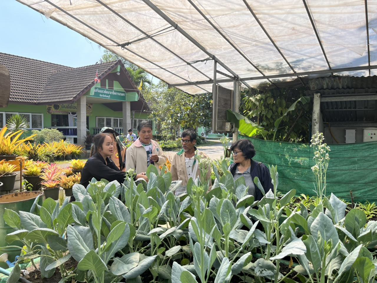 ภาพประกอบที่ 29