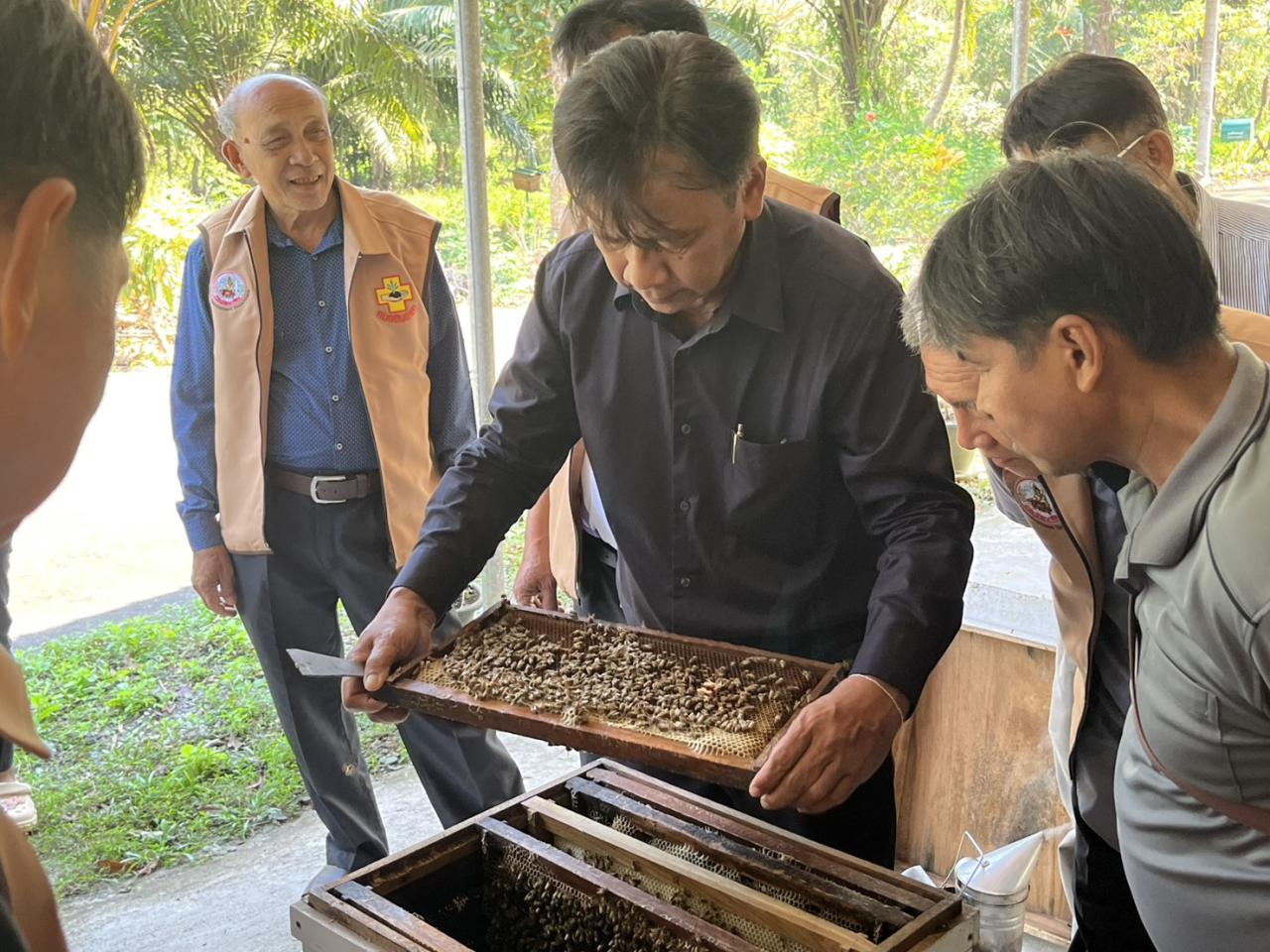 ภาพประกอบที่ 31