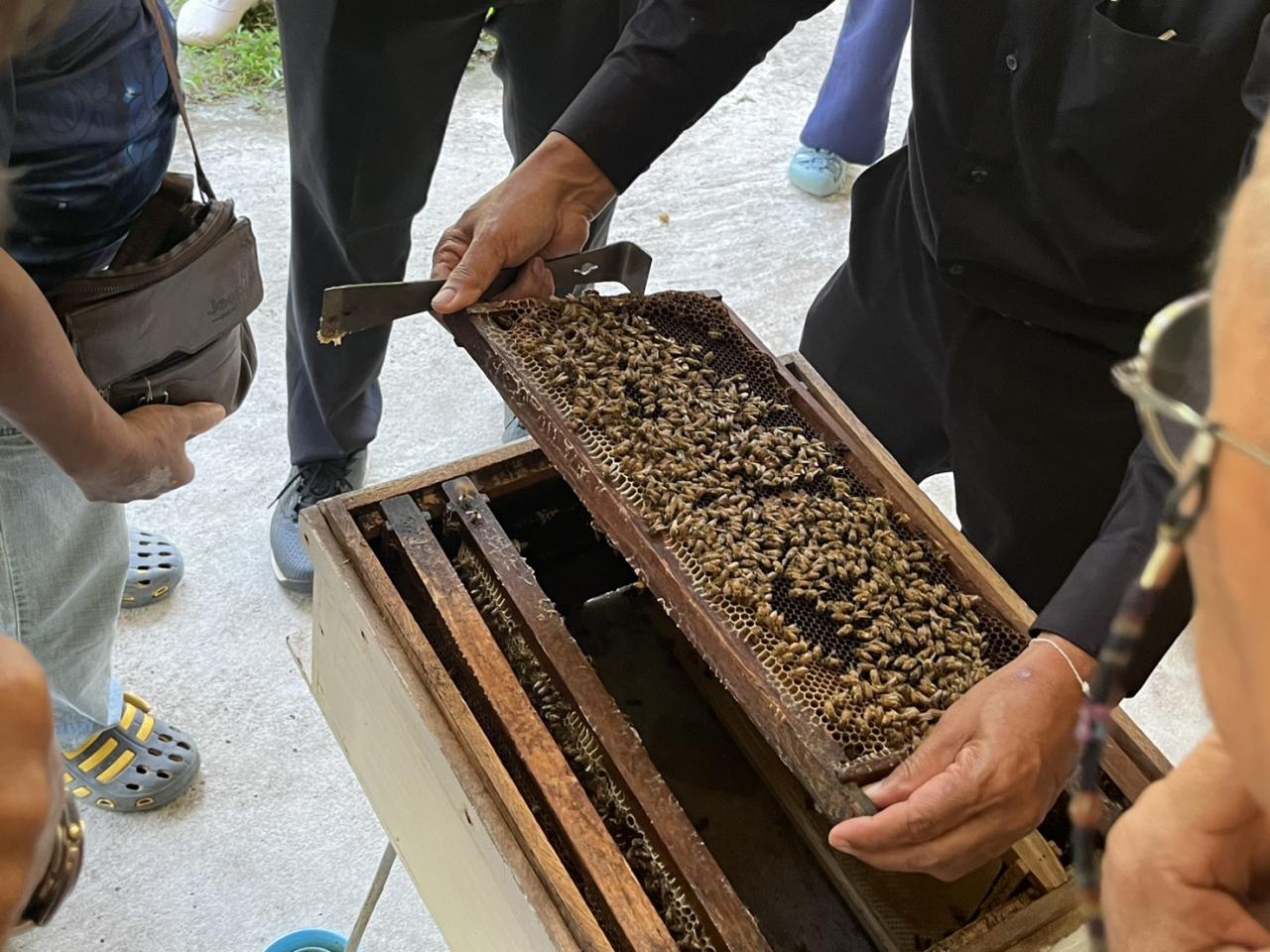 ภาพประกอบที่ 32