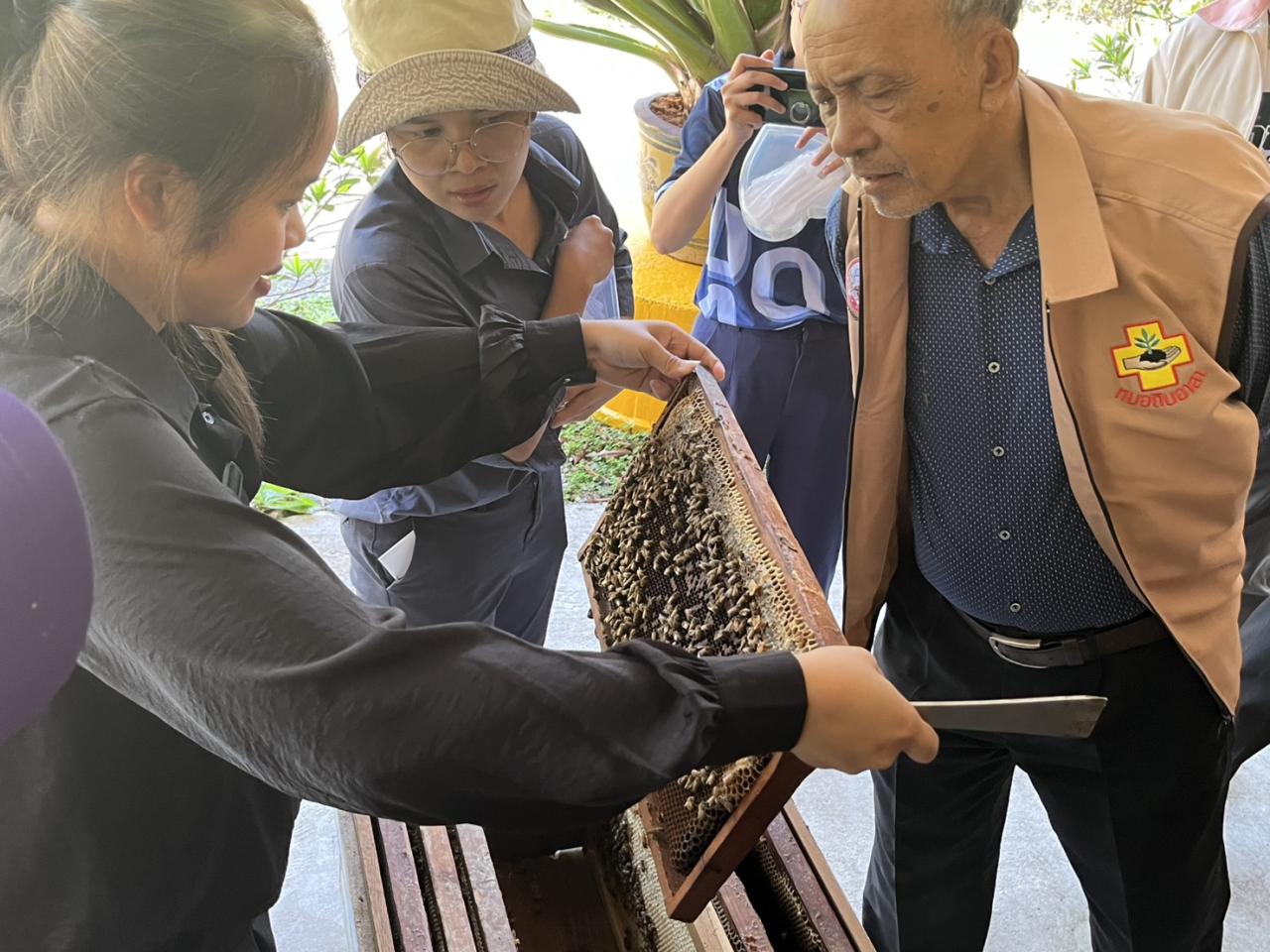 ภาพประกอบที่ 33