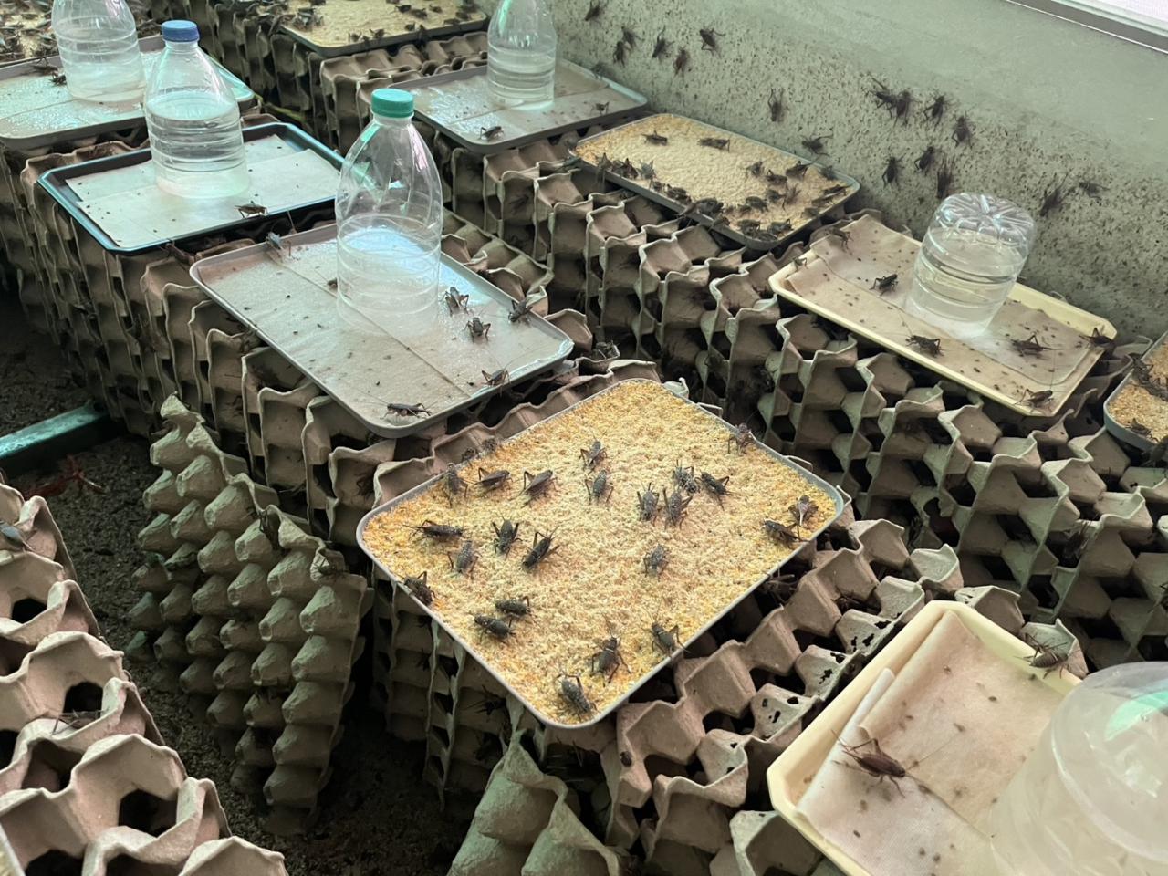 ภาพประกอบที่ 37