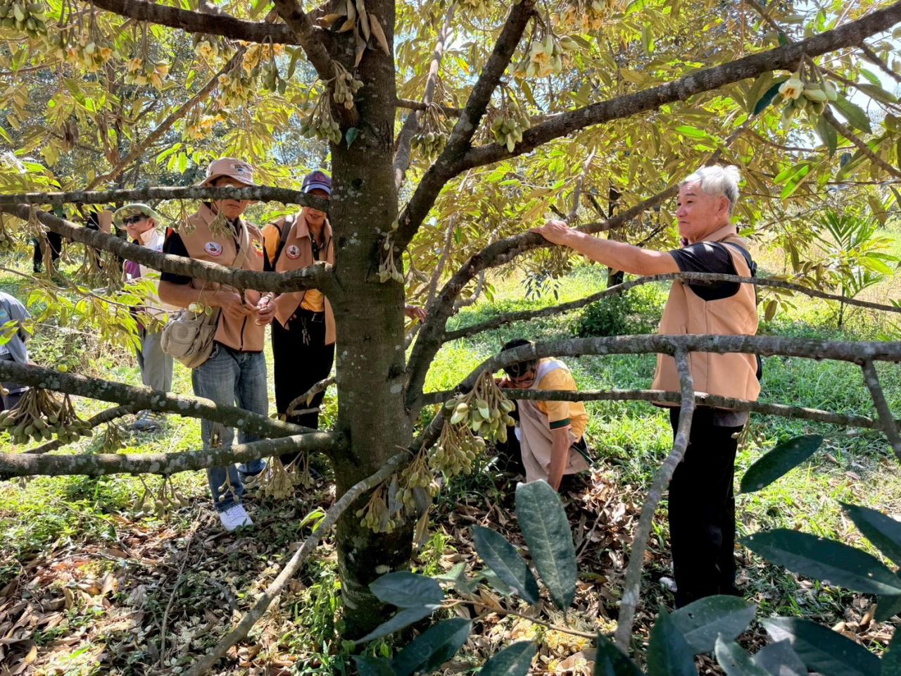 ภาพประกอบที่ 42