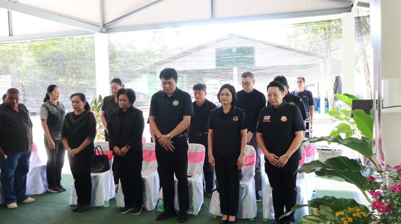 ภาพประกอบที่ 19