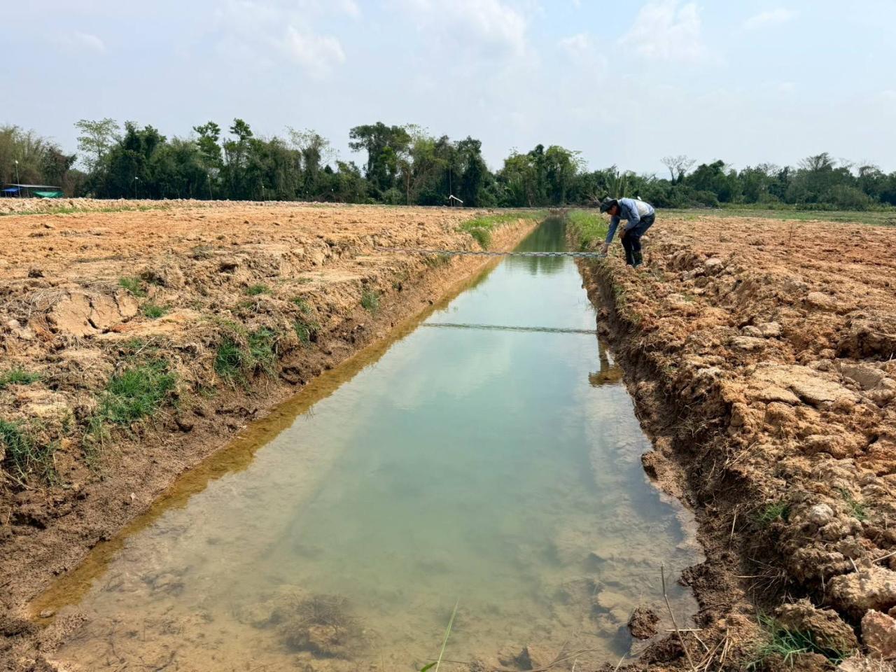 ภาพประกอบที่ 5