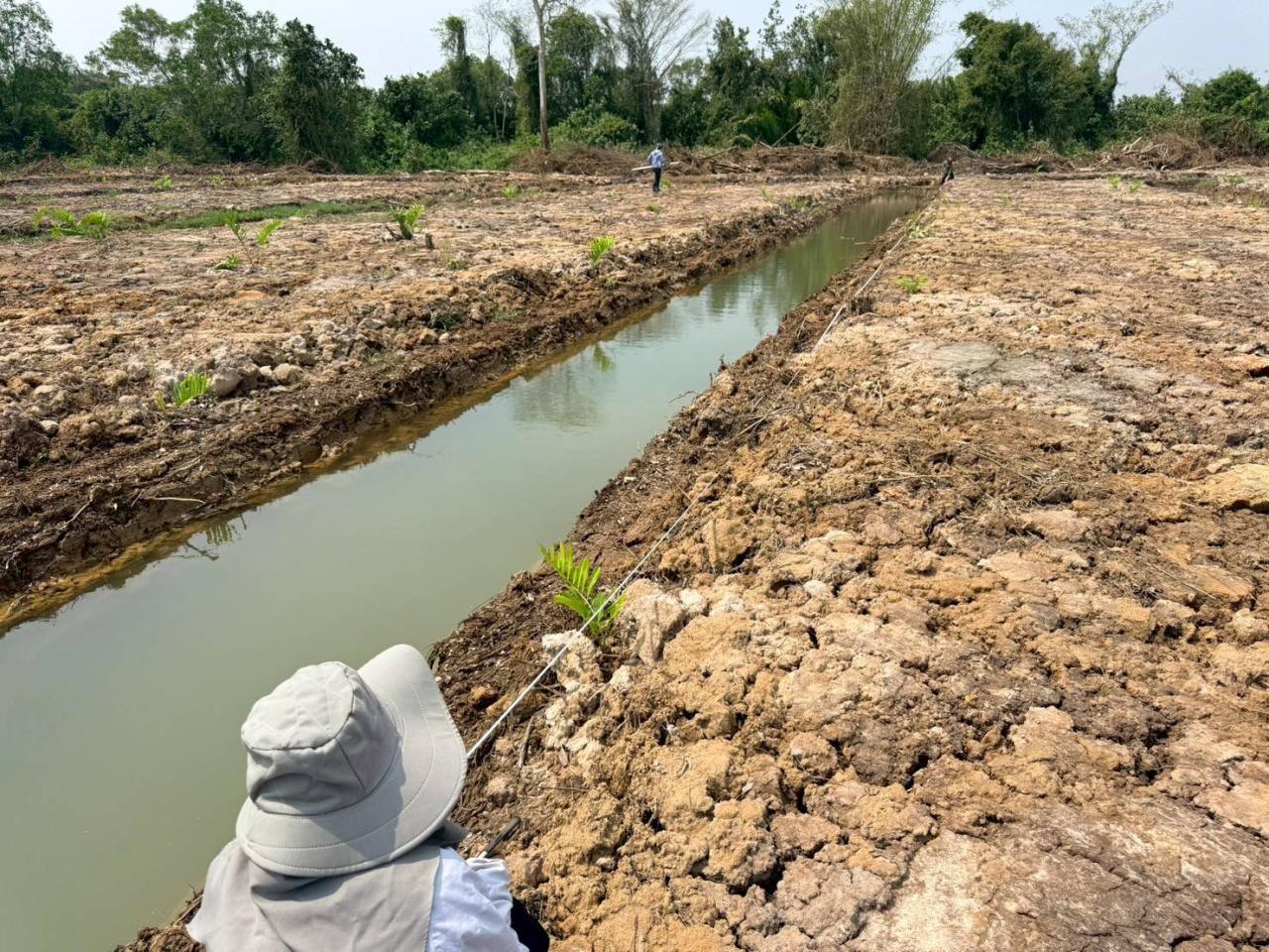 ภาพประกอบที่ 8