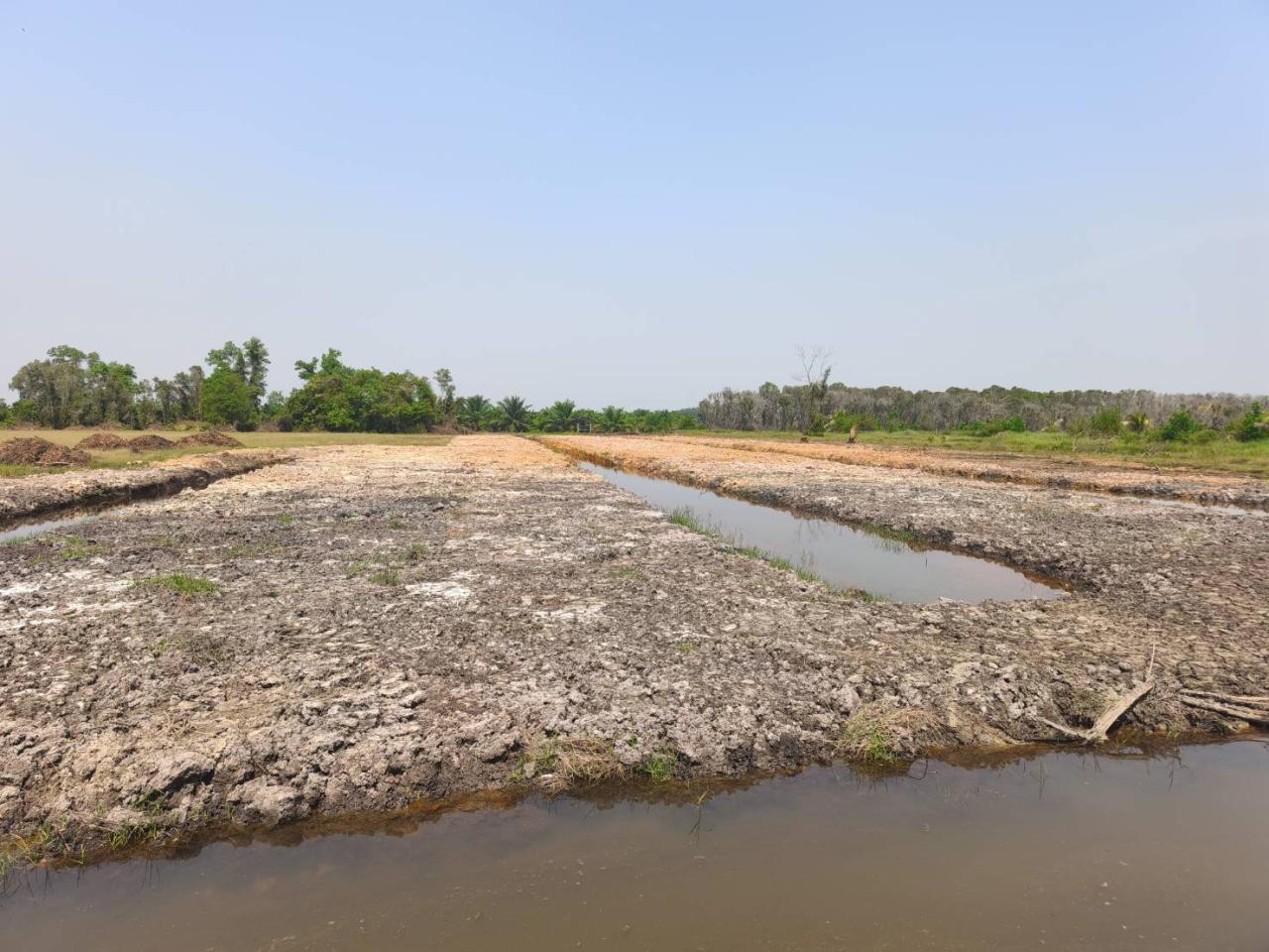 ภาพประกอบที่ 6