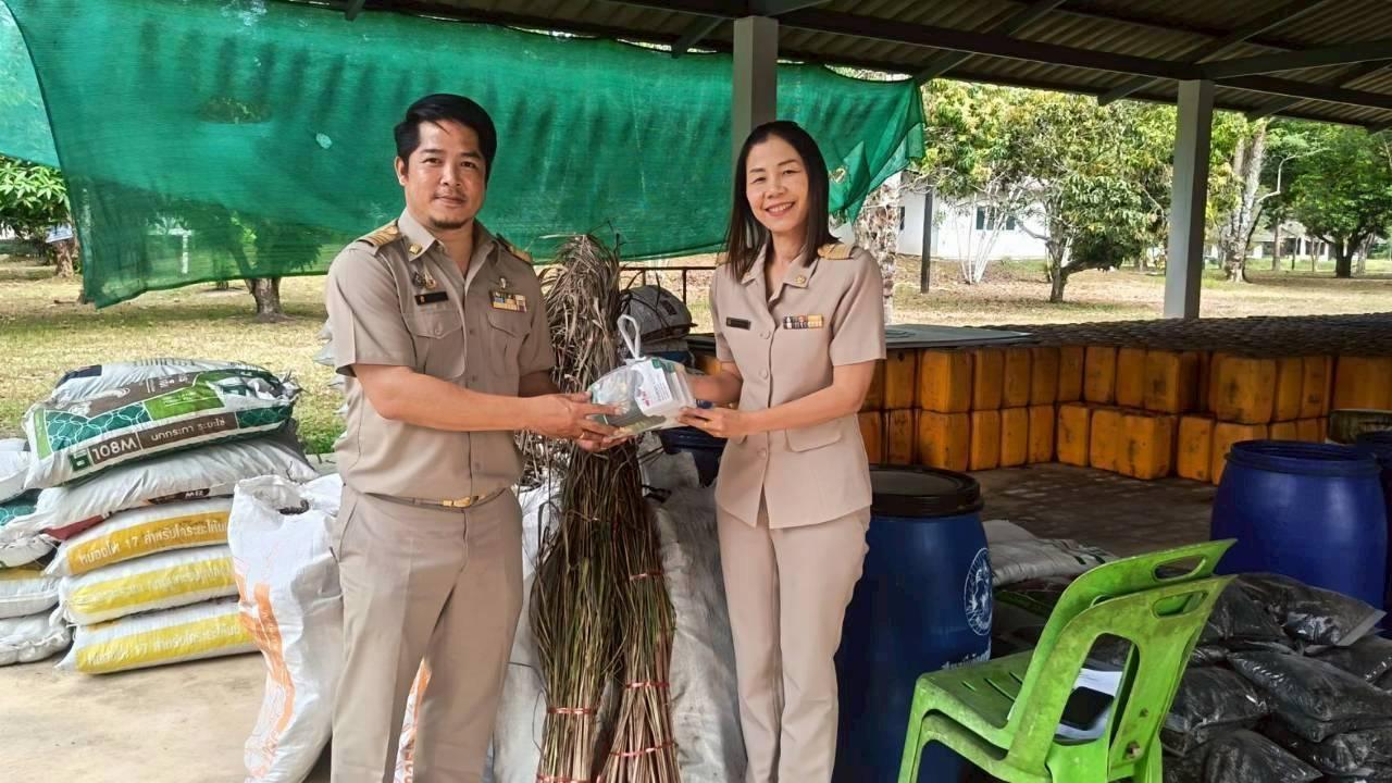 ภาพประกอบที่ 12